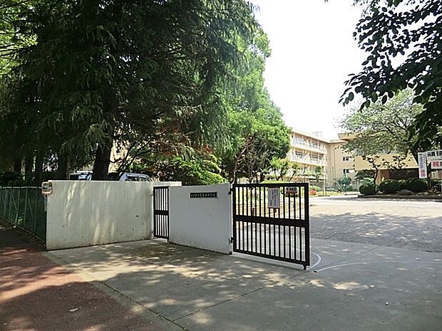 松戸市立常盤平中学校(約500m)