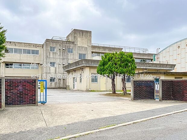 松戸市立貝の花小学校(約500m・徒歩7分)
