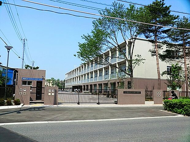 草加市立松原小学校（約800m・徒歩10分）