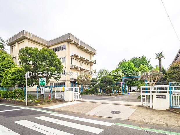 柏市立酒井根小学校(約510m)