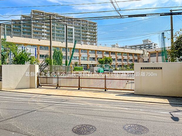 葛飾区立花の木小学校（約750m）