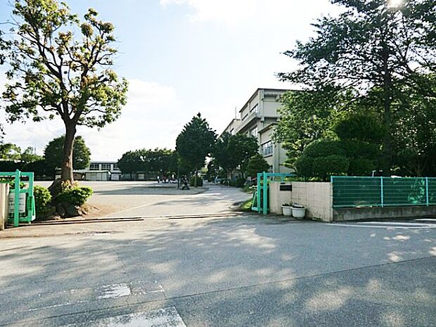 柏市立柏第八小学校（約800m・徒歩10分）