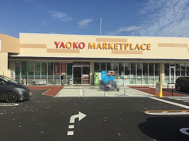 ヤオコー 松戸上本郷店(約1,000m・徒歩13分)