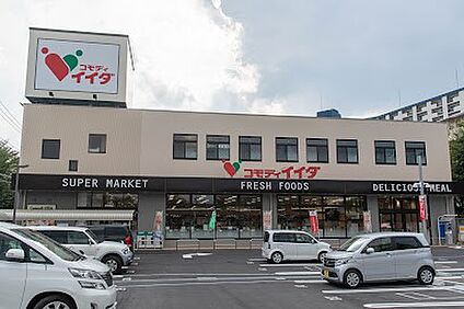 コモディイイダ金町店 1000m(13分)