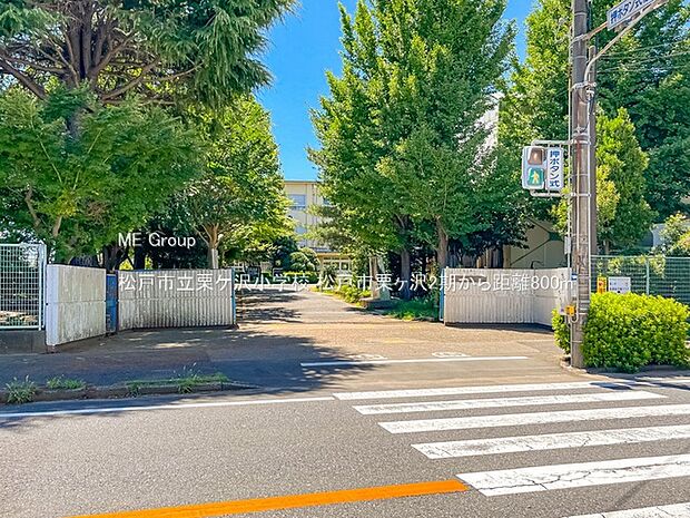 松戸市立栗ケ沢小学校（約800m）