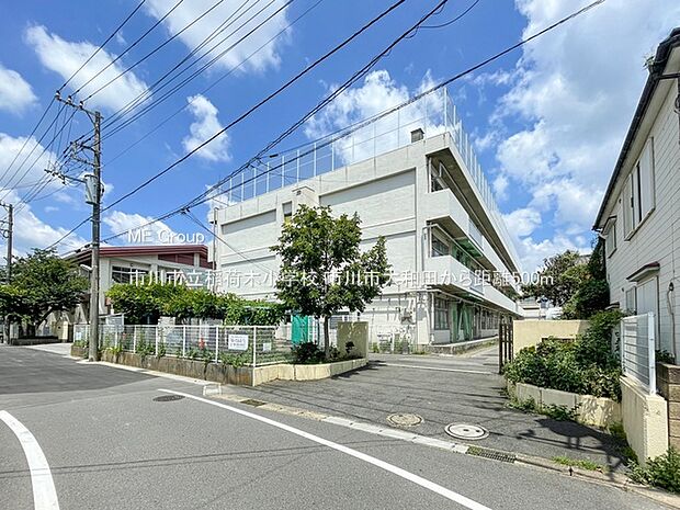 市川市立稲荷木小学校（約500m・徒歩7分）