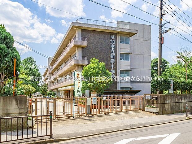 草加市立新栄小学校(約640m・徒歩8分)