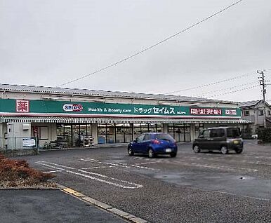 ドラッグセイムス 柏花野井店 1000m(13分)