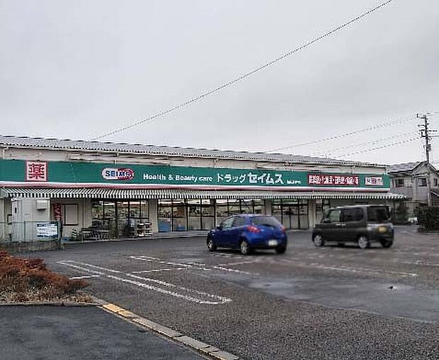 ドラッグセイムス 柏花野井店(約1,000m・徒歩13分)