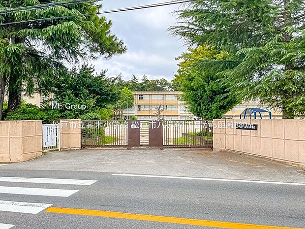 松戸市立高木小学校(約880m)