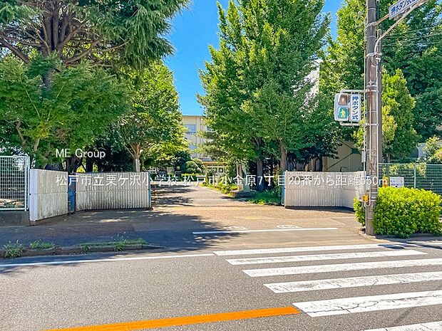 松戸市立栗ケ沢小学校(約550m・徒歩7分)