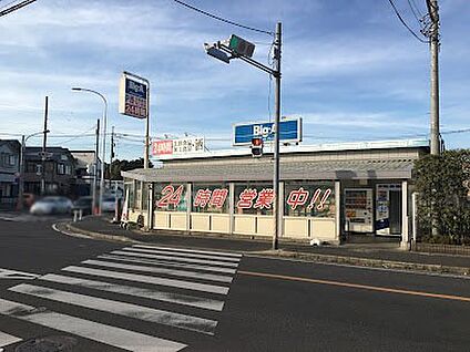 ビッグエー 松戸八ケ崎店 1100m(14分)