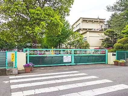 柏市立柏第八小学校 550m(7分)