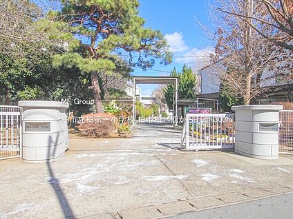 柏市立柏第一小学校 1300m