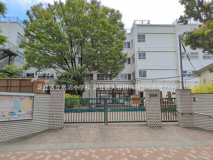 足立区立辰沼小学校 550m