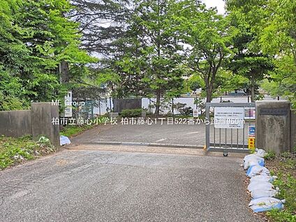 柏市立藤心小学校 960m(12分)