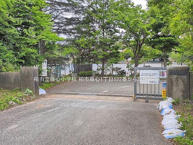 柏市立藤心小学校(約960m・徒歩12分)