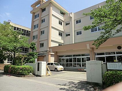 八潮市立中川小学校 500m(7分)