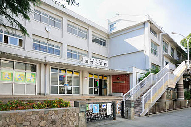 横須賀市立浦賀小学校(約750m)