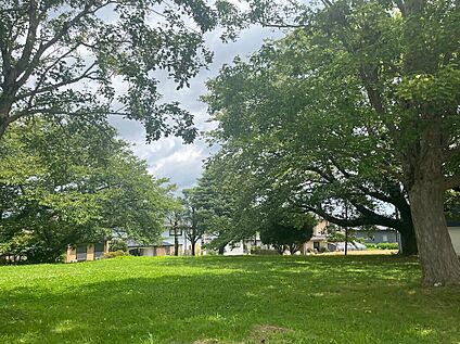 鹿島台公園 約10m