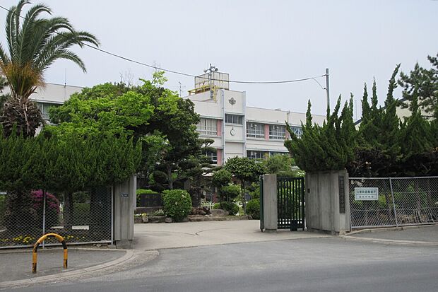 信太中学校（約950m）