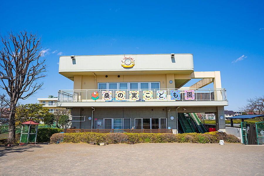 【学校】桑の実こども園