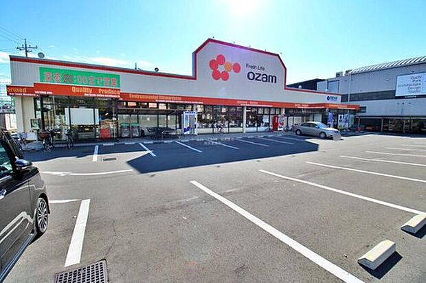 スーパーオザムけやき台店（約450m）