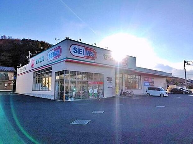 ドラッグセイムス入間仏子店（約753m）