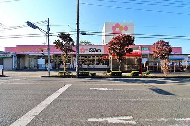 スーパーオザム東狭山ヶ丘店（約627m）