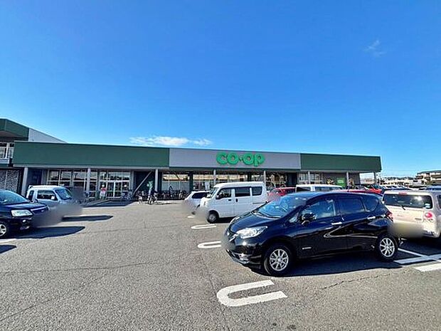 コープ武蔵藤沢店（約698m）