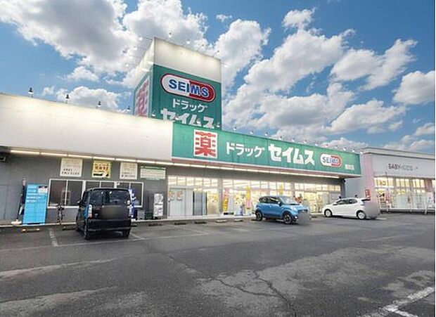 ドラッグセイムス根岸店(約800m)