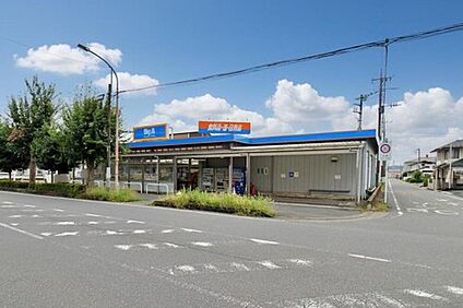 ビッグ・エー 飯能緑店 1500m(徒歩19分/自転車6分)