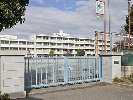 所沢市立富岡小学校 800m (徒歩10分)