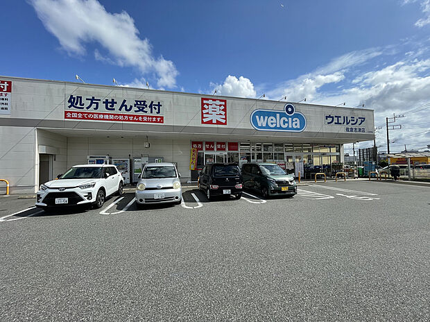 ウエルシア佐倉西志津店(約800m)