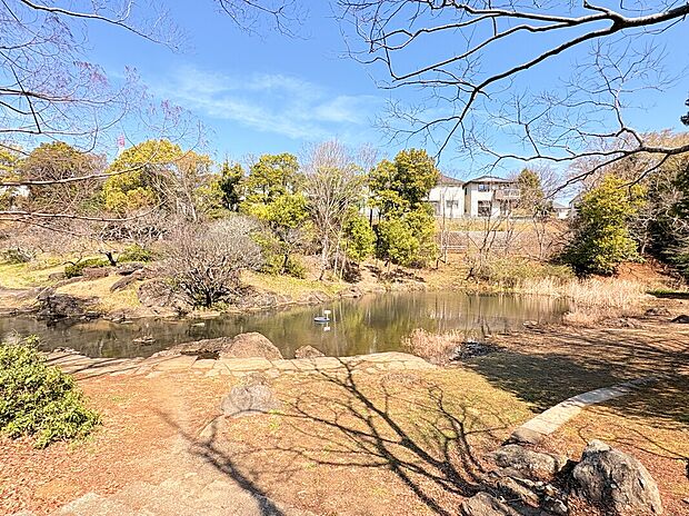 泉谷公園(約300m)