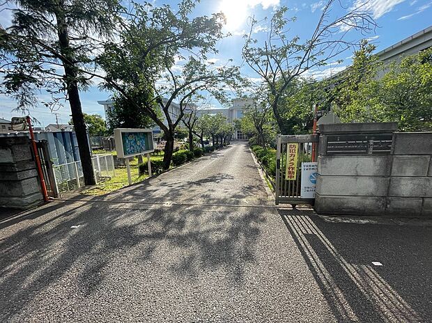 千葉市立みつわ台南小学校(約600m)