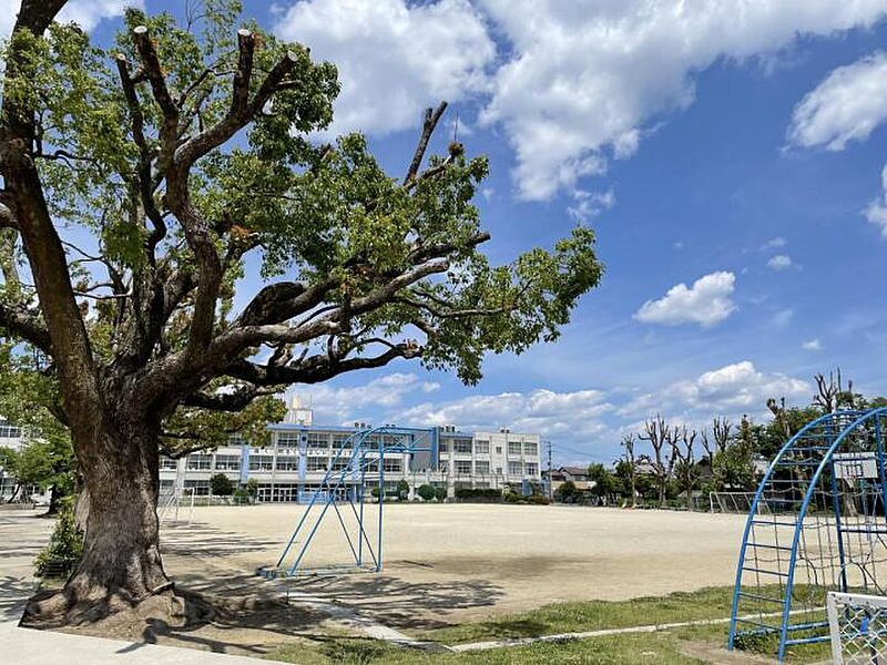 【学校】高雄小学校