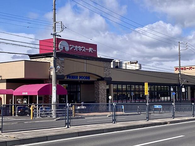 アオキスーパー 加木屋店