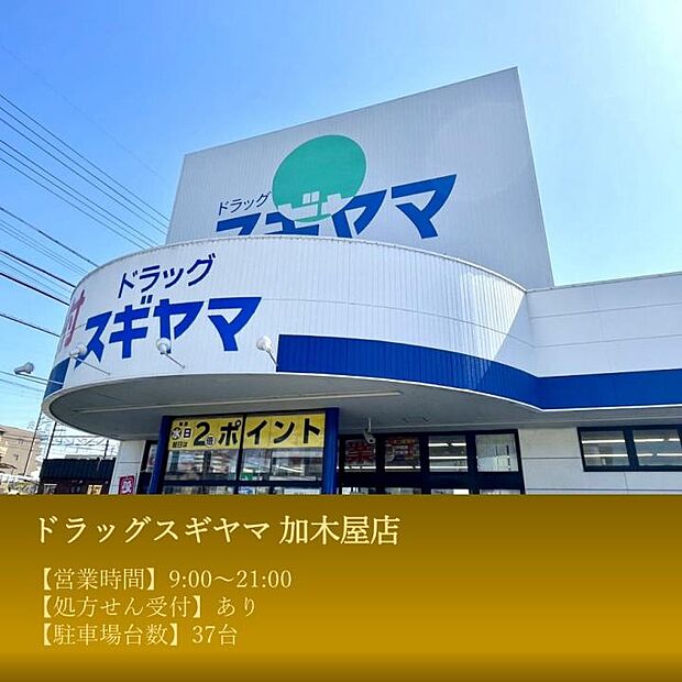 ドラッグスギヤマ 加木屋店