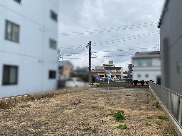 現地写真　南側からの景色（2025年2月）