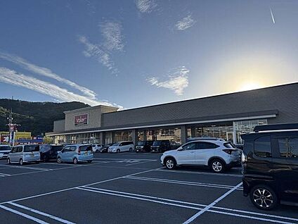 スーパーマーケットバロー国高店 600m(8分)