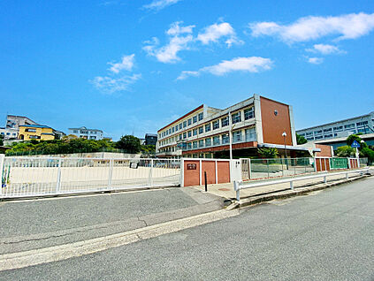 西城小学校 約340ｍ(徒歩5分)