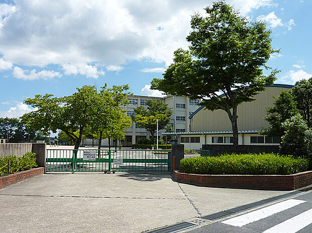 東高森台小学校