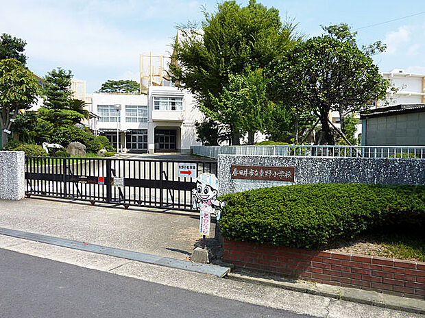 東野小学校(約600m)