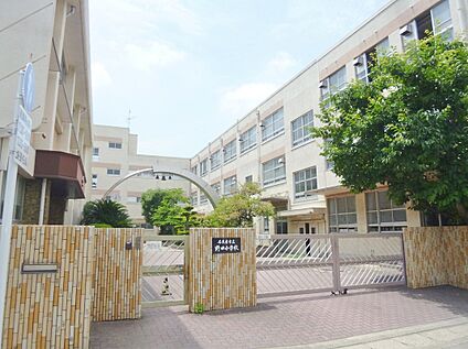 名古屋市立野田小学校 250m
