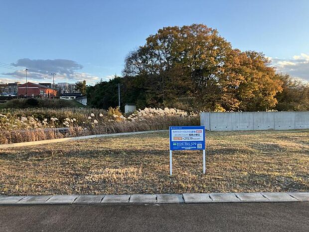 区画No.19現地写真(2024年11月撮影)/土地面積:65.09坪/自然環境に恵まれた立地です。
