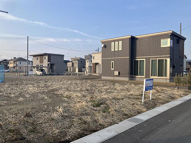 【No.4】現地写真(2026年2月撮影)