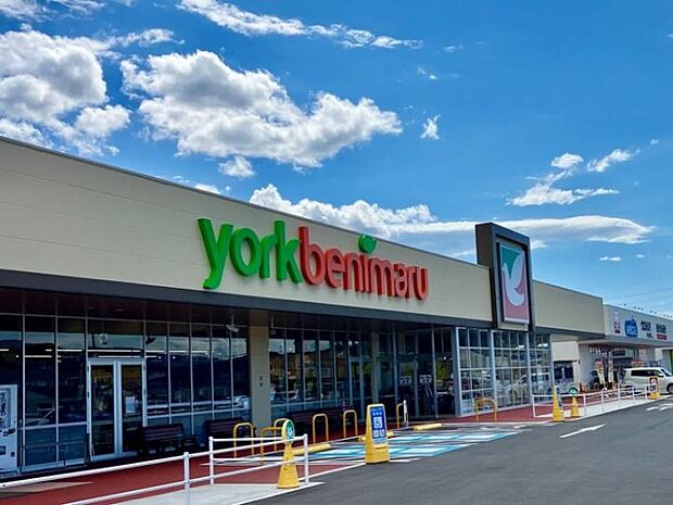 ヨークタウン泉玉露