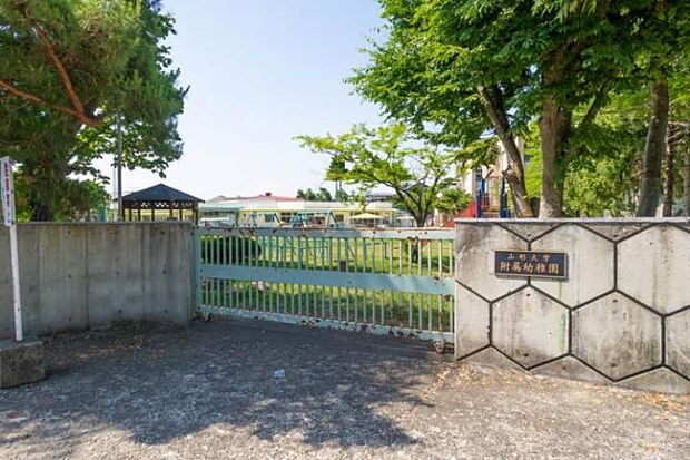 山形大学附属幼稚園