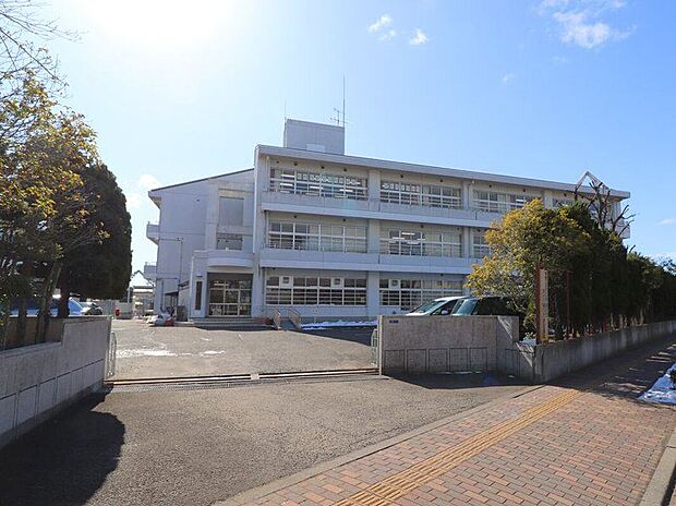 田子中学校(約750m)
